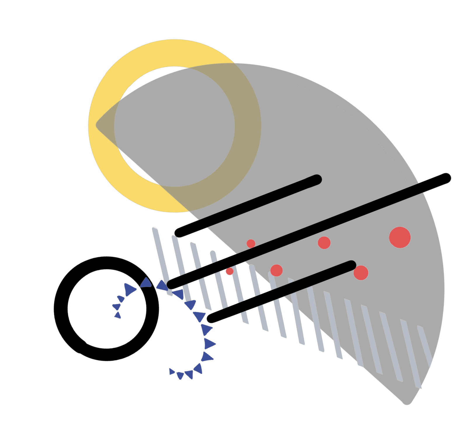 put a description here or you will lose grades