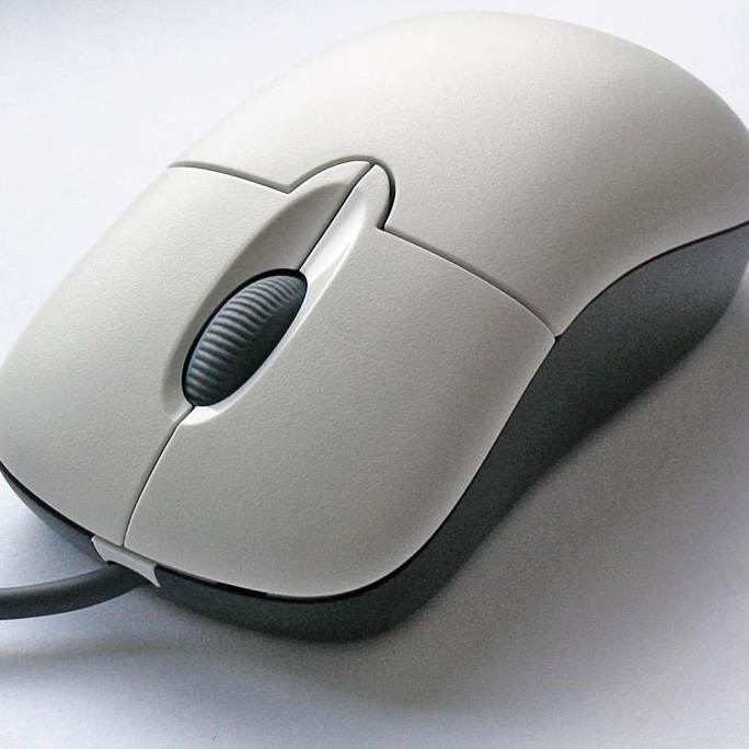 That's the sound of clicking a mouse.